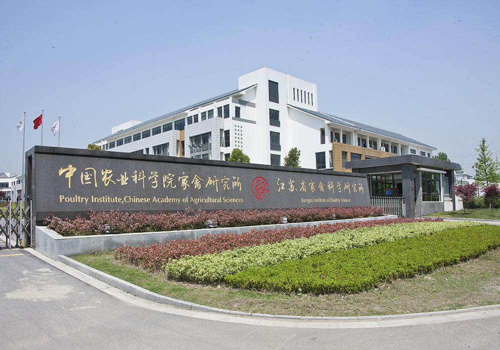 江苏扬州市家禽研究所综合工程.jpg